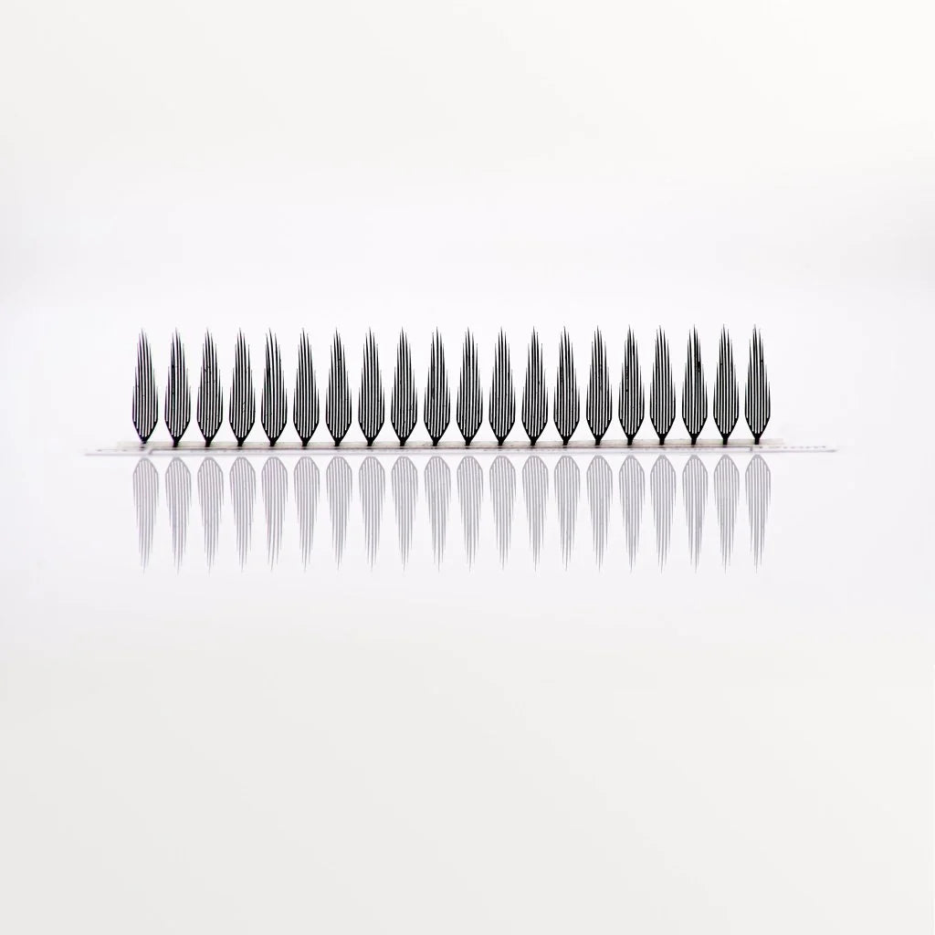 Anime Lashes Spiky Premade Fans in Reihe auf weißem Hintergrund, Manga Style Lash Extensions Detailaufnahme